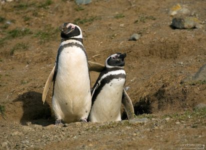 Я и моя жена.