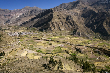 Долина Colca. Она же Потерянная долина Инков, Долина чудес, Долина огня, Территория кондора.