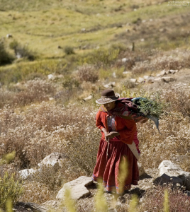 Жительница долины Colca.