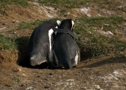 - Ну не расстраивайся!