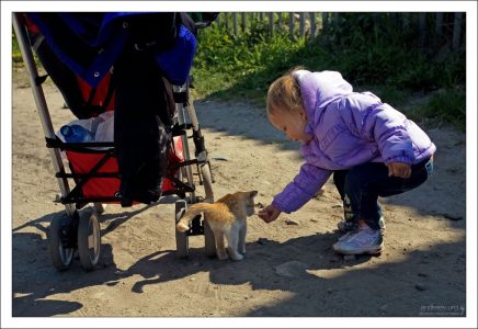 Саша кормит котенка.