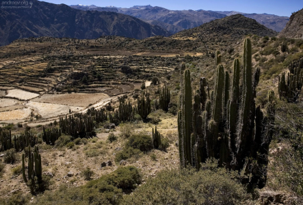 На въезде в ущелье.