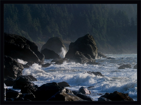 “Негостеприимный берег”. Негостеприимный берег предстает перед взором случайно свернувших с шоссе номер 1. Бешеные волны, острые как иглы скалы, и холод, пробирающий до костей. Вот такая она, северная Калифорния.