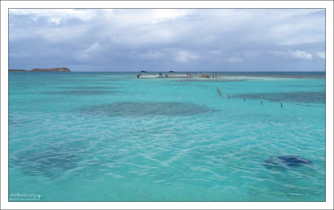 Залив Mercers Creek Bay около восточной части острова.