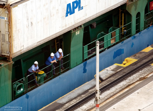 Моряки отдыхают - всю работу делают мулы.