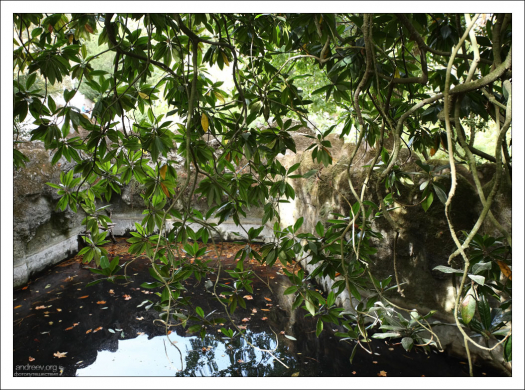 Водоем перед гротом в парке Кинта да Регалейра.