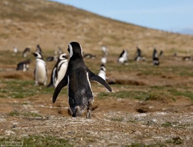 - Злые вы. Уйду я от вас!