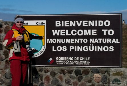 Добро пожаловать в пингвинье царство! Остров Магдалены.