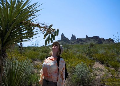 Катя заглядывается на плоды юкки.