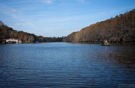 Главная водная артерия озера Каддо.