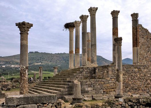 Колонны Капитолия Волюбилиса, и гнездо аиста на одной из них.