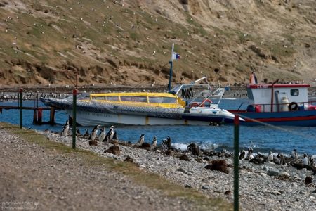 Катер в мини-гавани.