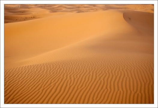 Очень плотный песок на дюне Эрг-Шебби.
