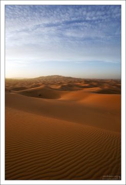 Бескрайние просторы пустыни.