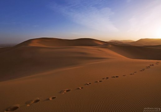 В песках очень легко потерять нужное направление.