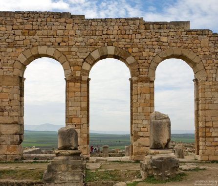 Вид на поля и плантации оливковых деревьев через арки Базилики. Волюбилис.