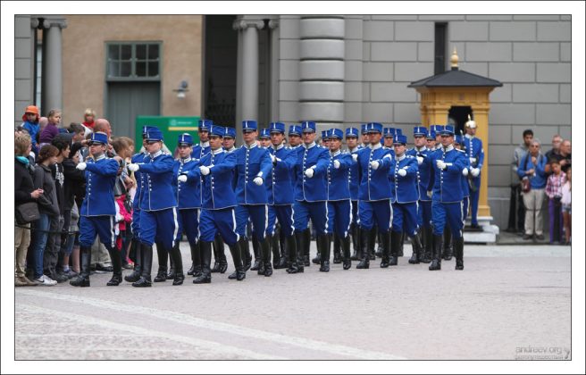 Королевская гвардия Hogvakten.