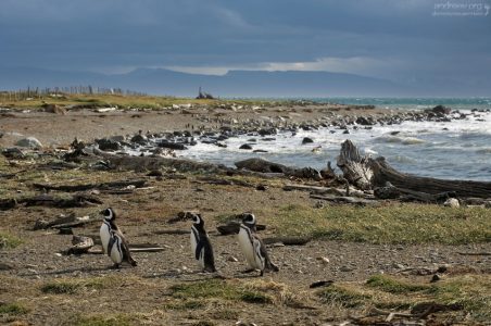 После купания.