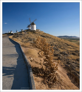 В Консуэгре расположено 11 мельниц.