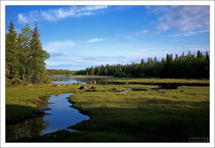 До Полярного круга - 160 км.