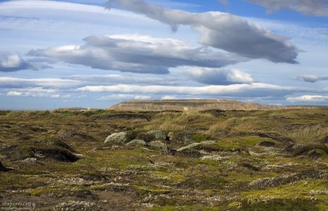 Берег залива Seño Otway.