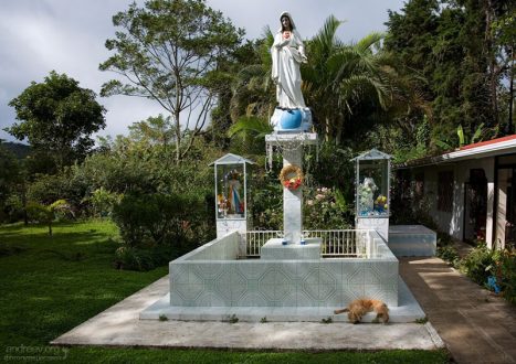 Небольшая частная плантация и скульптуры святых.