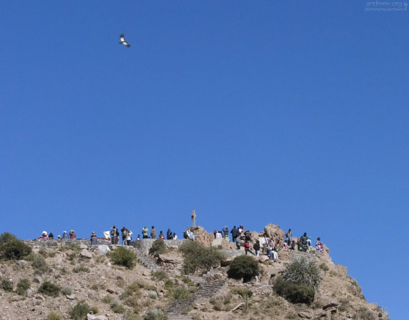 Главная обзорная площадка Крест кондора. Каньон Colca.