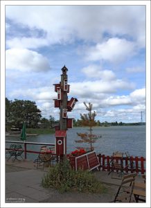 Общежитие для птиц рядом с кафе "Регата".