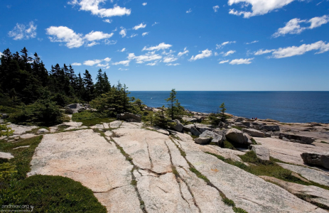 Сосны, гранит, и Атлантика.