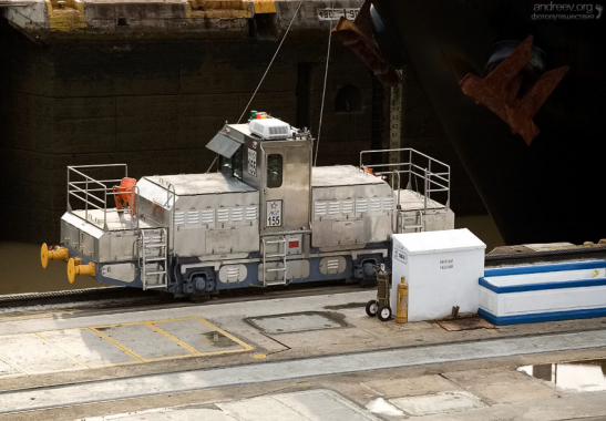 Портрет мула.