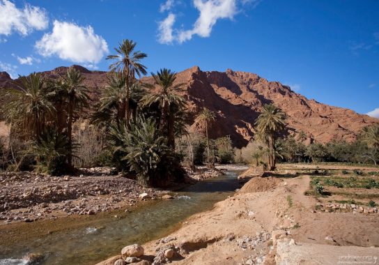 Шустрая речка под дорогой, ведущей в каньон Dades.