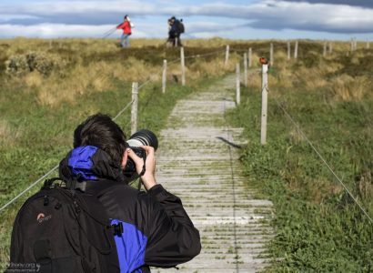 Илья фотоохотится на птиц.
