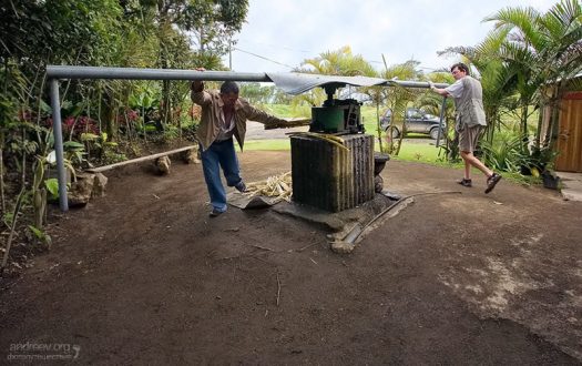 Илья и хозяин плантации "Sugarcane Florida" выдавливают сок из сахарного тростника с помощью пресса.
