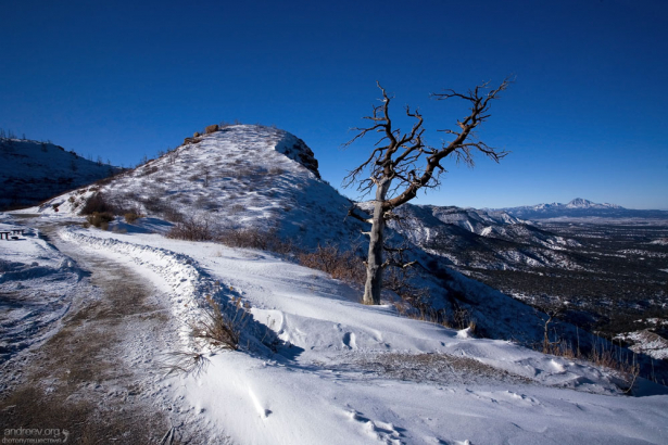 Настоящие сугробы в парке.