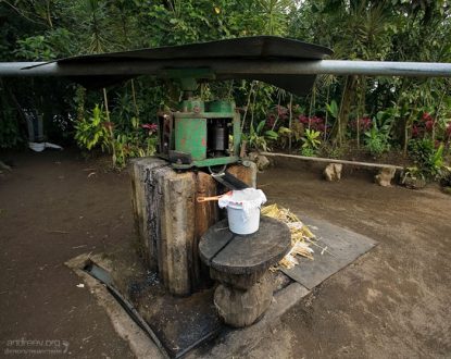 Пресс для выдавливания сока из сахарного тростника.