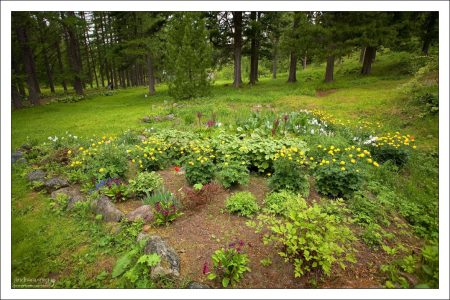 Многочисленные клумбы с цветами создают иллюзию присутствия на юге. Ботанический сад.