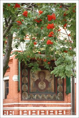 Фасадная икона «Богоматерь Знамение» и рябина около Храма Василия Блаженного.