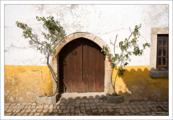Вход в погреб, с декорациями.