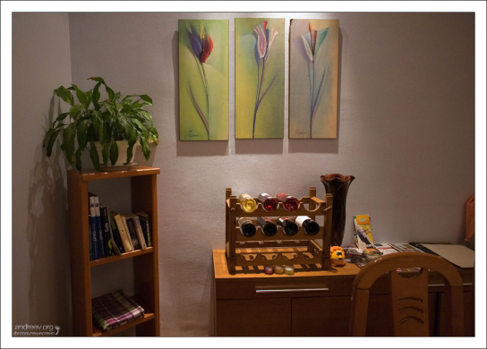 Интерьер квартиры в комплексе "Gaudi's Nest".