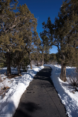 Тропинки содержатся в идеальном состоянии даже зимой.