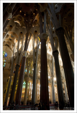 Лес из колонн в Саграде Фамилии.