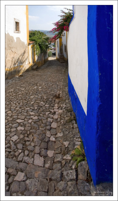 По левой стороне улицы дома с желтой каймой, по правой - с синей.