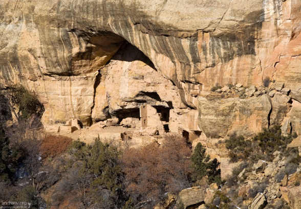 Подскальное жилище Oak Tree House.