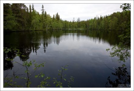 Лесное озеро у подножия ботанического сада.