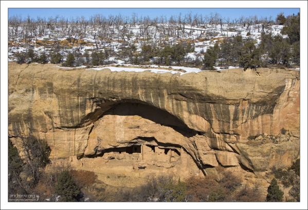 Жилище Oak Tree House состояло из 50 комнат, и 6 погребов.