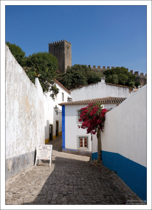 Более тихая часть улицы.