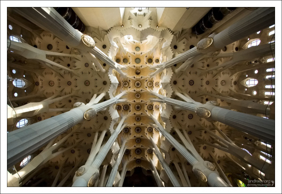 Растительный модерн.