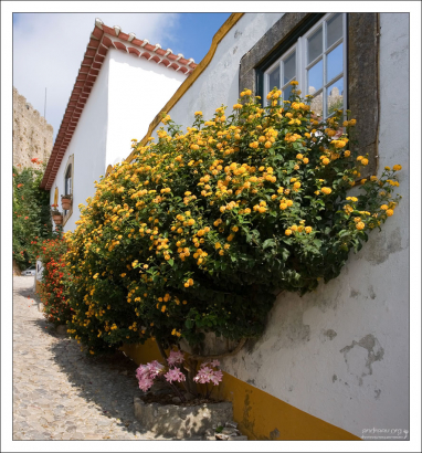 В этом доме живет явный любитель желтого цвета.