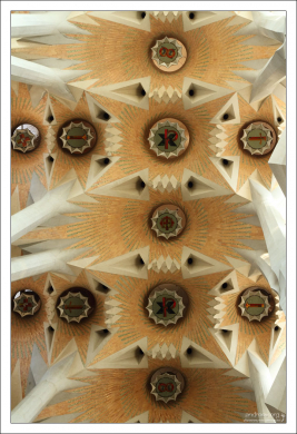 Цветы? Звезды? Ледяные узоры? Sagrada Familia.