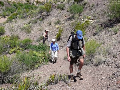 В горку по тропе “Mule’s ears”.